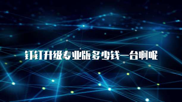 钉钉升级专业版多少钱一台啊呢