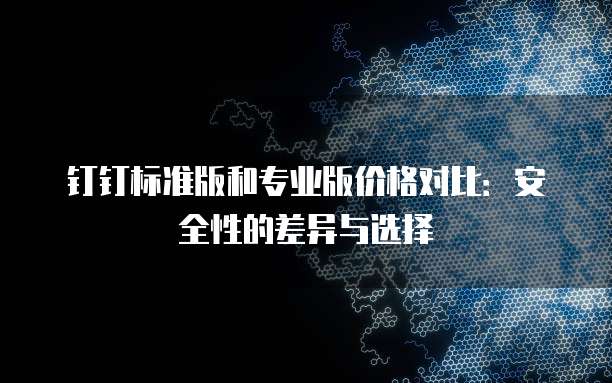 钉钉标准版和专业版价格对比:安全性的差异与选择