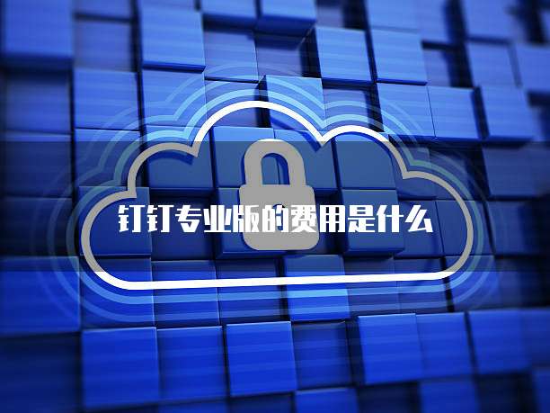 钉钉专业版的费用是什么