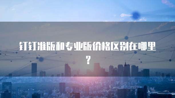 钉钉准版和专业版价格区别在哪里?
