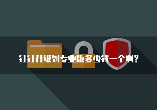 钉钉升级到专业版多少钱一个啊?
