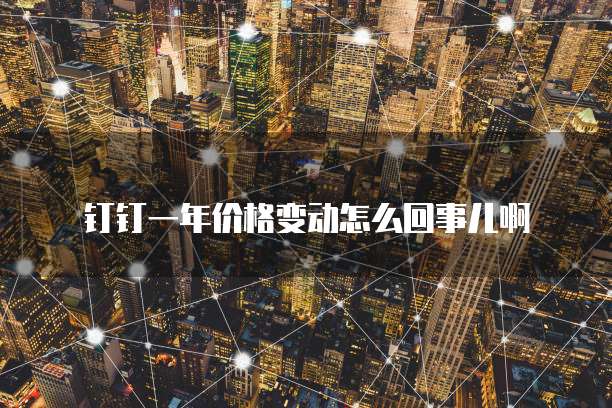 钉钉一年价格变动怎么回事儿啊