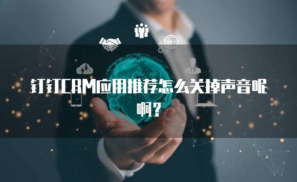 钉钉CRM应用推荐怎么关掉声音呢啊?