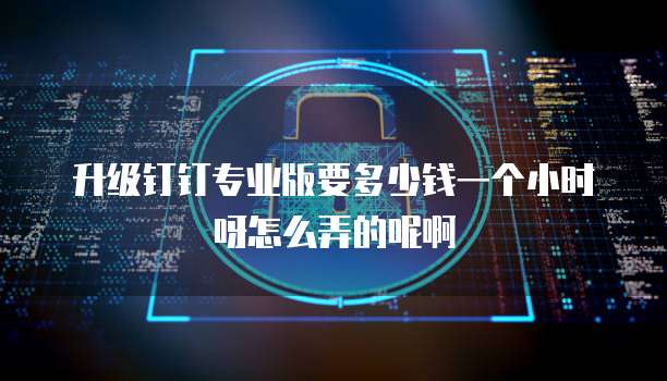升级钉钉专业版要多少钱一个小时呀怎么弄的呢啊