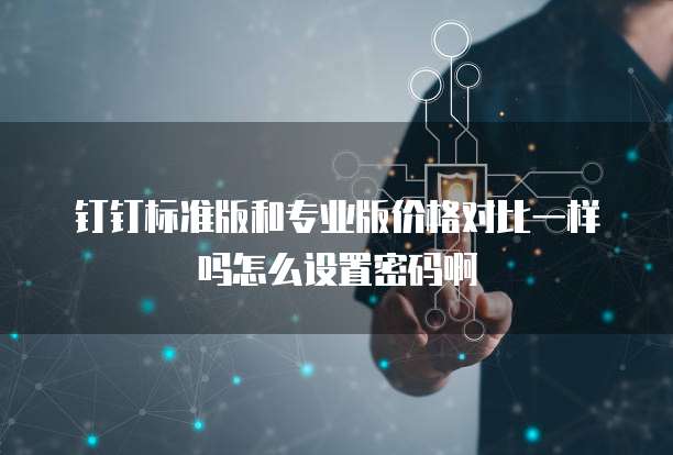 钉钉标准版和专业版价格对比一样吗怎么设置密码啊