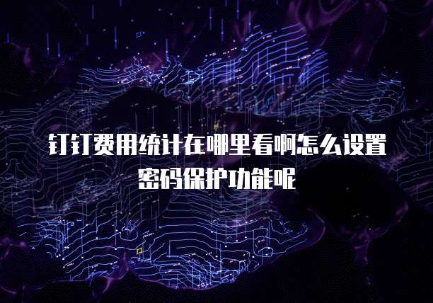 钉钉费用统计在哪里看啊怎么设置密码保护功能呢