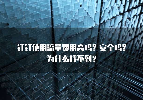钉钉使用流量费用高吗?安全吗?为什么找不到?