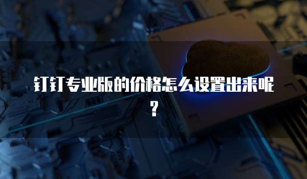 钉钉专业版的价格怎么设置出来呢?