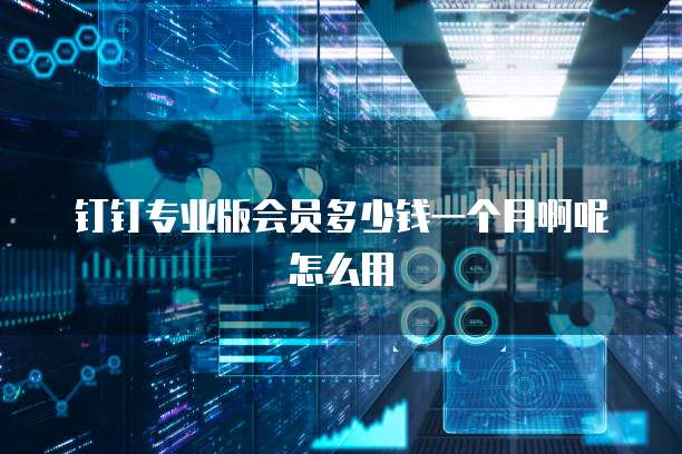 钉钉专业版会员多少钱一个月啊呢怎么用