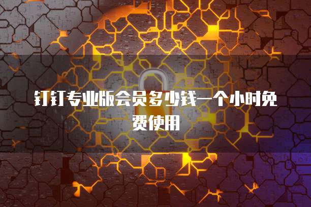 钉钉专业版会员多少钱一个小时免费使用