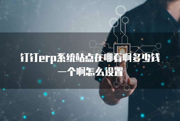 钉钉erp系统站点在哪看啊多少钱一个啊怎么设置