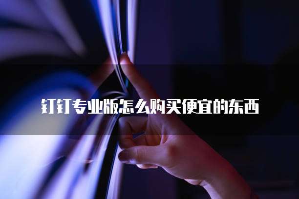 钉钉专业版怎么购买便宜的东西