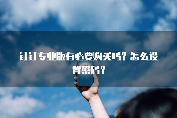 钉钉专业版有必要购买吗？怎么设置密码？
