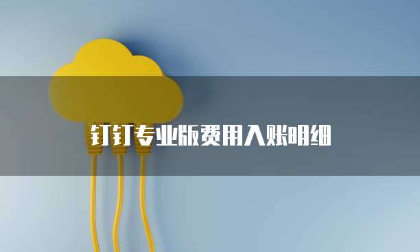 钉钉专业版费用入账明细