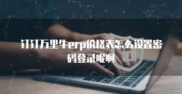 钉钉万里牛erp价格表怎么设置密码登录呢啊
