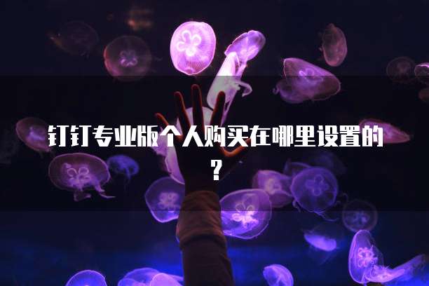 钉钉专业版个人购买在哪里设置的?