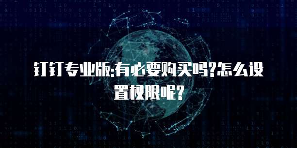钉钉专业版:有必要购买吗?怎么设置权限呢?
