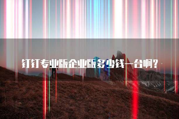 钉钉专业版企业版多少钱一台啊?