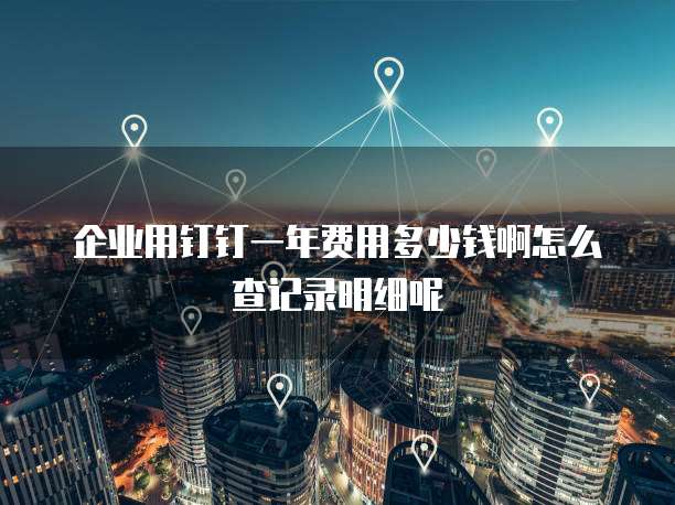 企业用钉钉一年费用多少钱啊怎么查记录明细呢