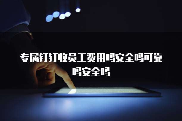 专属钉钉收员工费用吗安全吗可靠吗安全吗