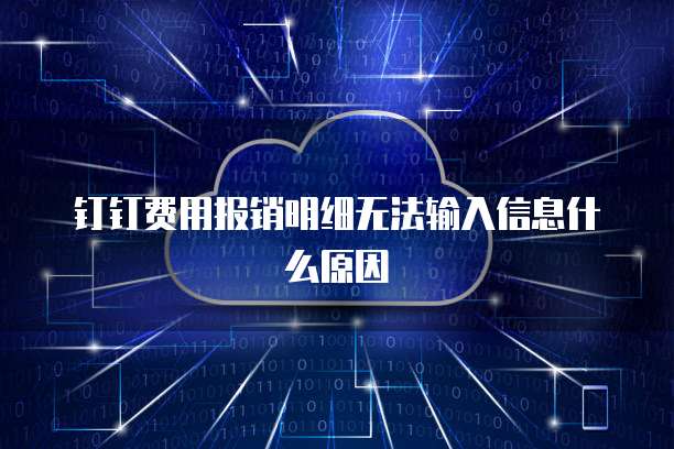 钉钉费用报销明细无法输入信息什么原因