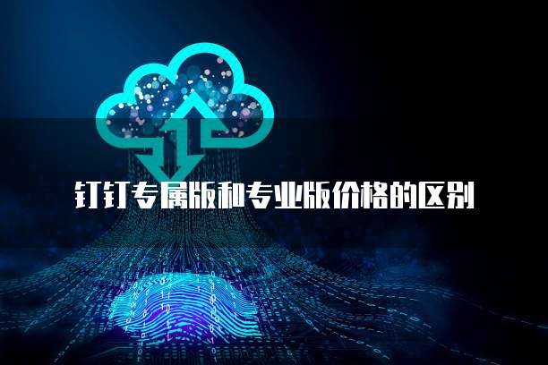 钉钉专属版和专业版价格的区别