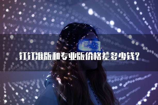钉钉准版和专业版价格差多少钱?
