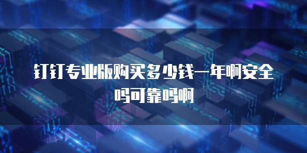 钉钉专业版购买多少钱一年啊安全吗可靠吗啊