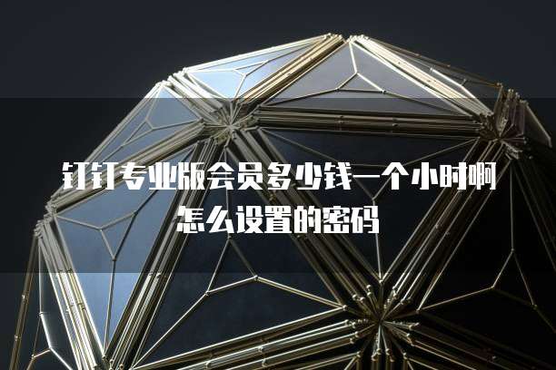 钉钉专业版会员多少钱一个小时啊怎么设置的密码