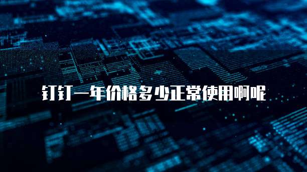 钉钉一年价格多少正常使用啊呢