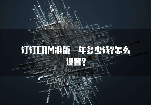 钉钉CRM准版一年多少钱?怎么设置?