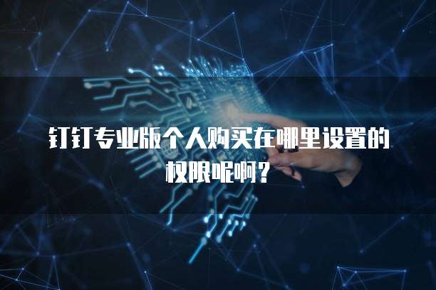 钉钉专业版个人购买在哪里设置的权限呢啊?
