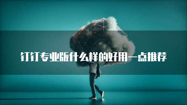 钉钉专业版什么样的好用一点推荐