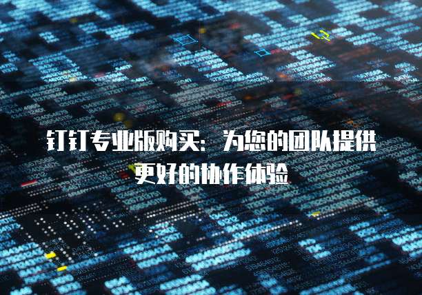 钉钉专业版购买:为您的团队提供更好的协作体验
