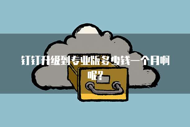 钉钉升级到专业版多少钱一个月啊呢?