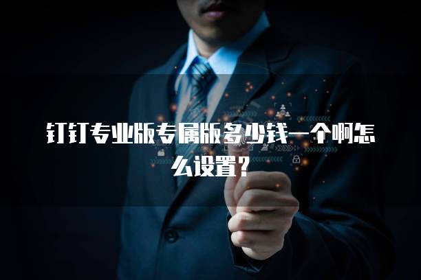 钉钉专业版专属版多少钱一个啊怎么设置?