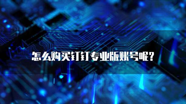 怎么购买钉钉专业版账号呢?