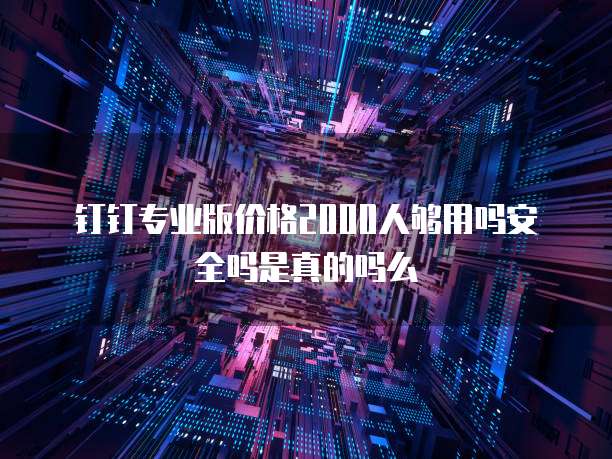 钉钉专业版价格2000人够用吗安全吗是真的吗么