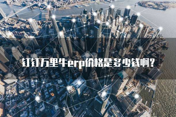钉钉万里牛erp价格是多少钱啊？