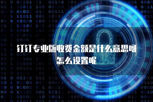 钉钉专业版收费金额是什么意思呀怎么设置呢