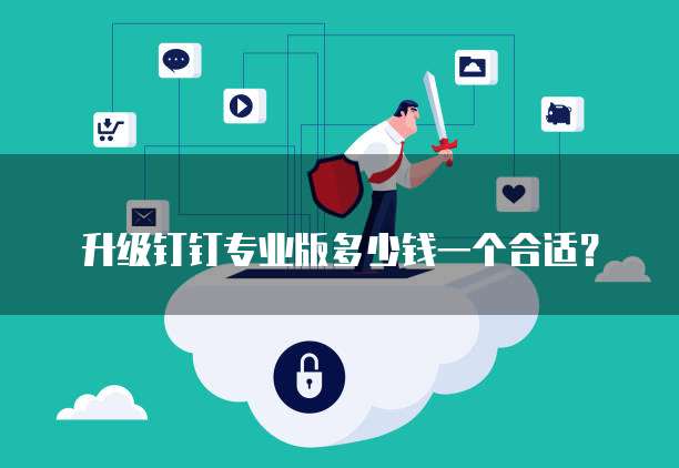 升级钉钉专业版多少钱一个合适?