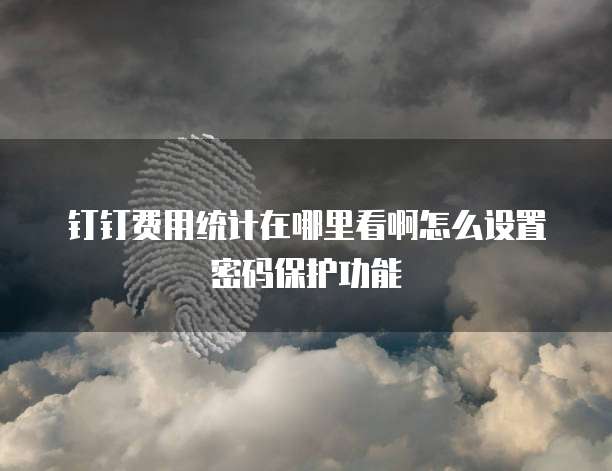 钉钉费用统计在哪里看啊怎么设置密码保护功能