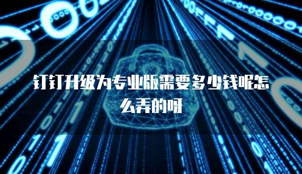钉钉升级为专业版需要多少钱呢怎么弄的呀
