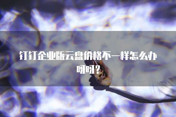 钉钉企业版云盘价格不一样怎么办呀呀?