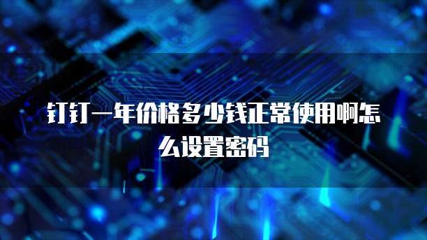 钉钉一年价格多少钱正常使用啊怎么设置密码