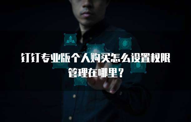 钉钉专业版个人购买怎么设置权限管理在哪里?