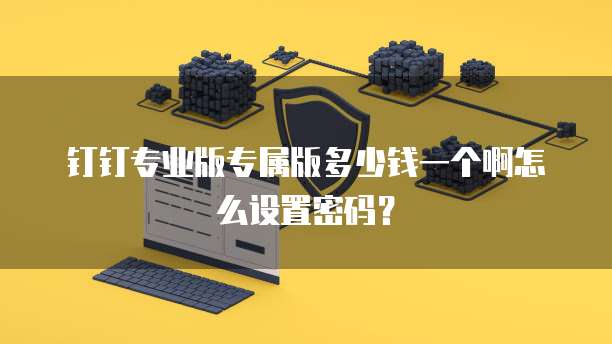 钉钉专业版专属版多少钱一个啊怎么设置密码?