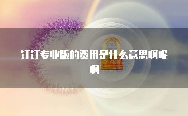 钉钉专业版的费用是什么意思啊呢啊