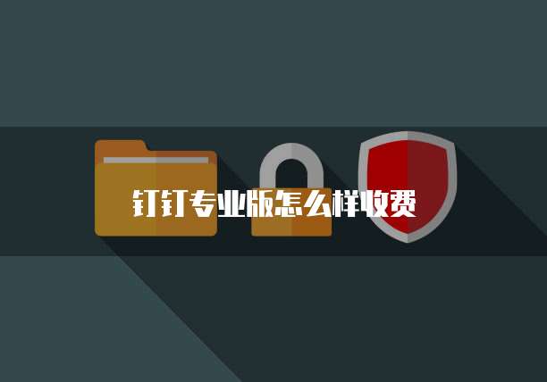 钉钉专业版怎么样收费