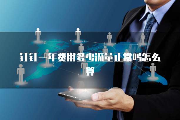 钉钉一年费用多少流量正常吗怎么算